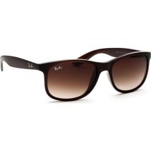 Ray-Ban Andy RB4202 607313 55