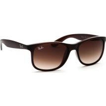 Ray-Ban Andy RB4202 607313 55