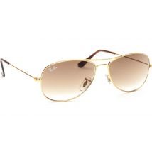 Ray-Ban Cockpit RB3362 001/51