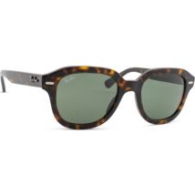 Ray-Ban Erik RB4398 902/31