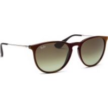 Ray-Ban Erika RB4171 6316E8 54