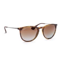 Ray-Ban Erika RB4171 710/T5 54