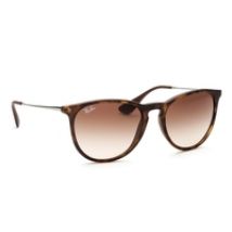 Ray-Ban Erika RB4171 865/13 54