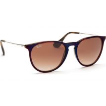 Ray-Ban Erika RB4171 631513 54