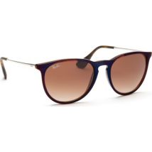 Ray-Ban Erika RB4171 631513 54