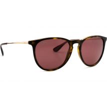 Ray-Ban Erika RB4171 639175 54