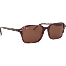 Ray-Ban Raimond RB2231 1416C5 56
