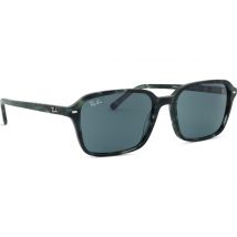 Ray-Ban Raimond RB2231 1417R5 56