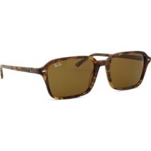 Ray-Ban Raimond RB2231 141833
