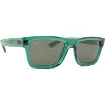 Ray-Ban Warren RB4396 6681/3 54