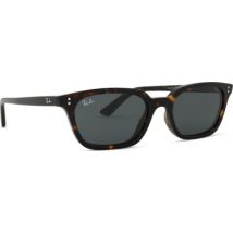 Ray-Ban Zaya RB4456 135987 53