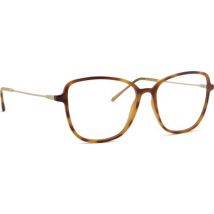 Sea2See Aurora C12 53