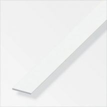 Plat PVC Blanc de 100 mm (longueur 1m)