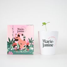 Kit chanvre à planter - Cadeau Homme - Cadeau Femme - Cadeau Maman - Marie Janine - Les Raffineurs