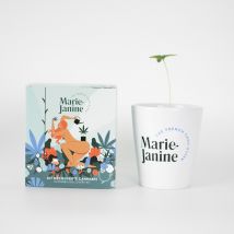 Kit chanvre à planter - Cadeau Homme - Cadeau Femme - Cadeau Maman - Marie Janine - Les Raffineurs