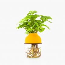 Plante avec vase autonome - Wet pot - Ocre - Idée cadeau Noël - Cadeau Homme - Cadeau Femme - Cadeau Papa - Cadeau Maman - Cadeau Crémaillère - Tot