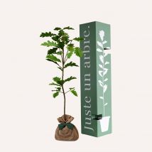 Arbre souvenir - Idée cadeau Noël - Cadeau Homme - Cadeau Femme - Cadeau Papa - Cadeau Maman - Idée cadeau enfant - Cadeau Crémaillère - Juste Un 