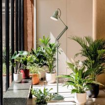 Anglepoise 33114 Original 1227 Floor Lamp National Trust Edition Sage Green