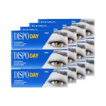 Dispo Day Toric 4 x 90 Stück - Tageslinsen Sparpaket 6 Monate von Conil