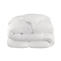 Confort absolu hiver