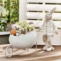 Lapin Jaris