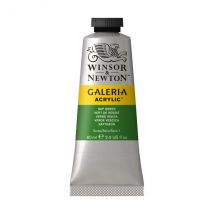 Winsor & Newton Galeria Acrylic Paint 60ml Sap Green