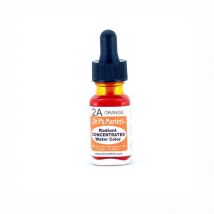 Dr. Ph. Martin&#039;s Radiant Concentrated Water Colour 15ml 2A Orange