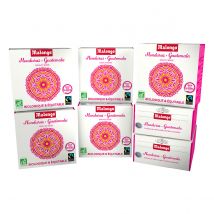 Malongo - Café en dosettes - Bio - Honduras/Guatemala - 160 doses - Variété Arabica - 10 étuis de 16 doses