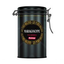 Malongo - Café molido Maragogype