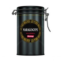 Malongo - Café noir moulu - Maragogype - Variété Maragogype - Boite de 250g