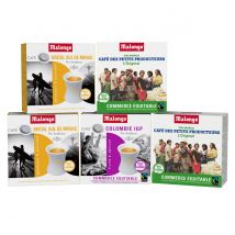 Malongo - Café en dosettes - Cave Latine - 80 doses