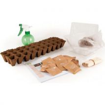 Coffret De Sachets Graines Bio De Légumes - Manutan Collectivités