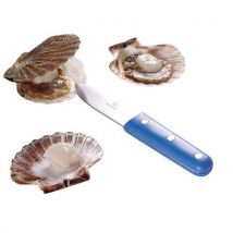 Couteau À Coquille Saint-jacques Ergonomique - Manutan Collectivités