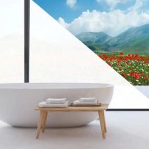 Film Pour Vitrage Dépoli Blanc 250x90cm - Easy Protec - Manutan Collectivités