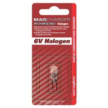 L'ampoule Halogène Pour Lampe Mag Charger - Manutan Collectivités