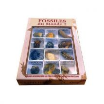 Les Fossiles Du Monde - Manutan Collectivités