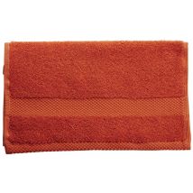 Lot De 10 Serviettes De Toilette 50 X 90 Cm Terracota - Manutan Collectivités