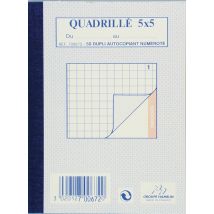 Lot De 80 Bloc-notes Quadrillé 5/5 Dupli A6 100 Pages - Manutan Collectivités