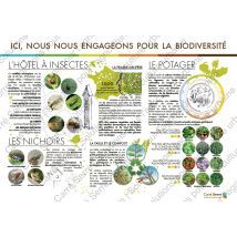 Panneau Éducatif - La Biodiversité - Manutan Collectivités