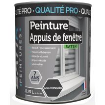 Peinture Appuis De Fenetre Batir - 0,75l Gris Anthracite - Manutan Collectivités