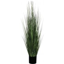 Plante Articielle Fétuque Vert Hauteur 122cm - Manutan Collectivités