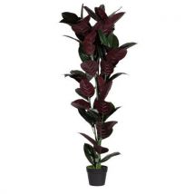 Plante Artificielle Ficus Elastica 120 Cm - Manutan Collectivités