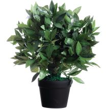 Plante Artificielle Laurier H : 50cm - Manutan Collectivités