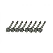 Montageschroef Type 3 Met Bevestigingsplug. 8 Stuks. 470_73, - Schake