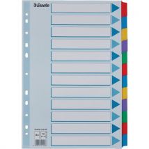 Intercalaire A4 - Carton Mylar - lot de 10 - Esselte