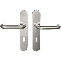 Poignée de porte inox sur plaque Tempo New Wave - Bricard