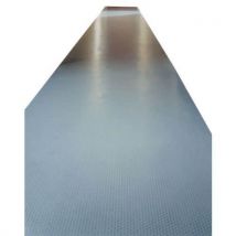 Tapis PVC Flexi Coin - Grandes pastilles - En rouleau - Plastex