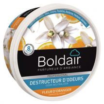 Gel destructeur d'odeurs Boldair - 300g