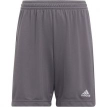 Sportshort Entrada 22 grijs voor kinderen - Adidas