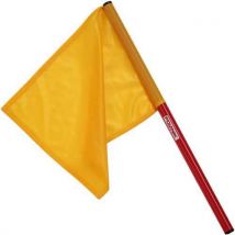 Officiële atletiekvlag - Polanik